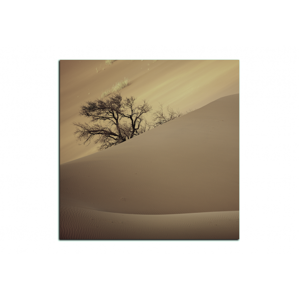 Obraz na plátně - Červené písečné duny - čtverec